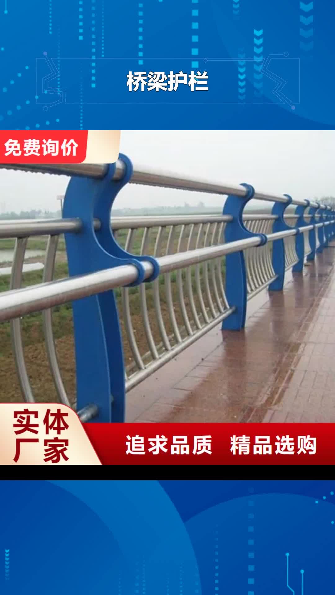 西藏 桥梁护栏_【河道护栏】厂家技术完善