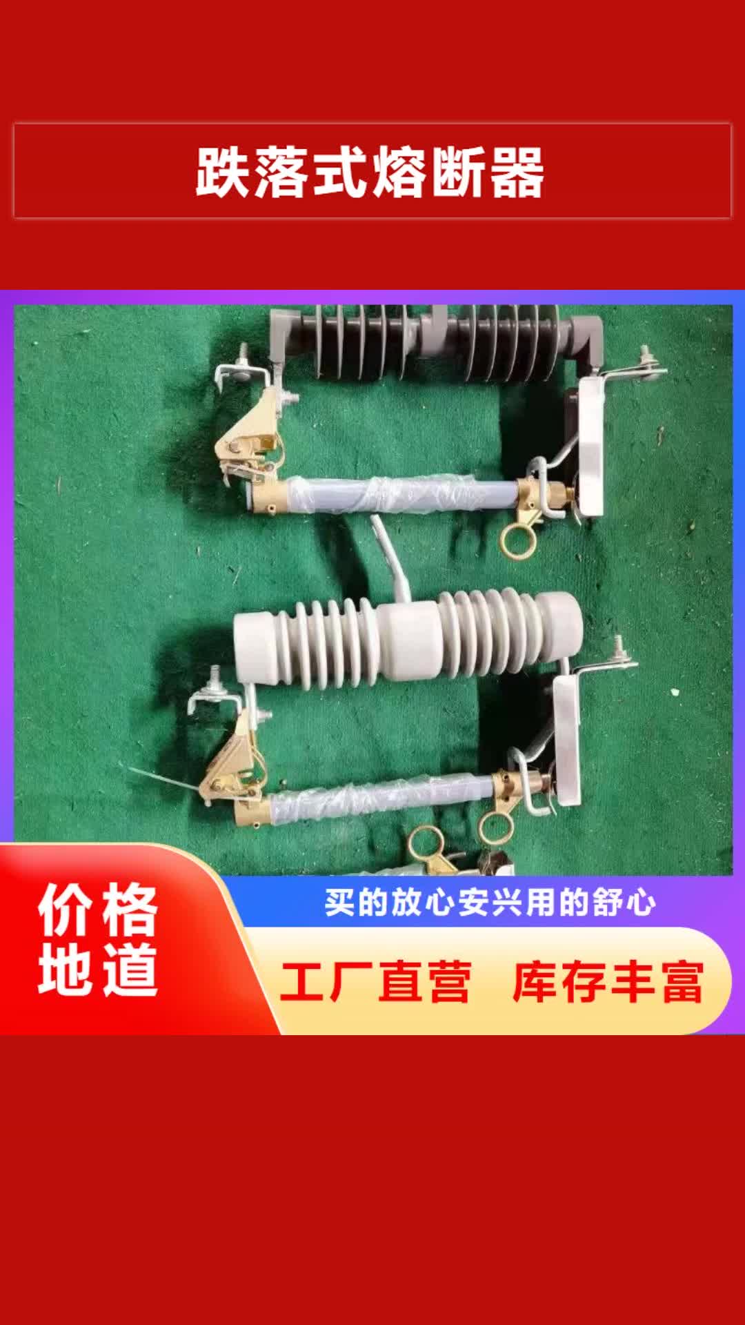 株洲【跌落式熔断器】高压氧化锌避雷器实力见证