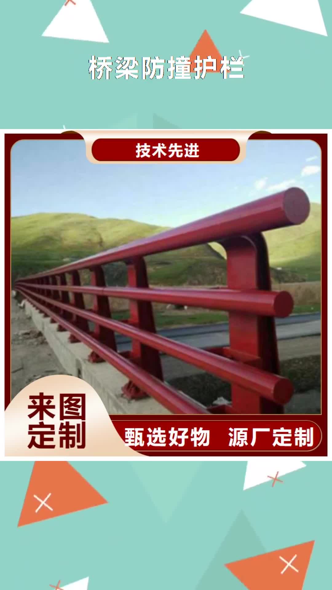 广安 桥梁防撞护栏专业生产N年