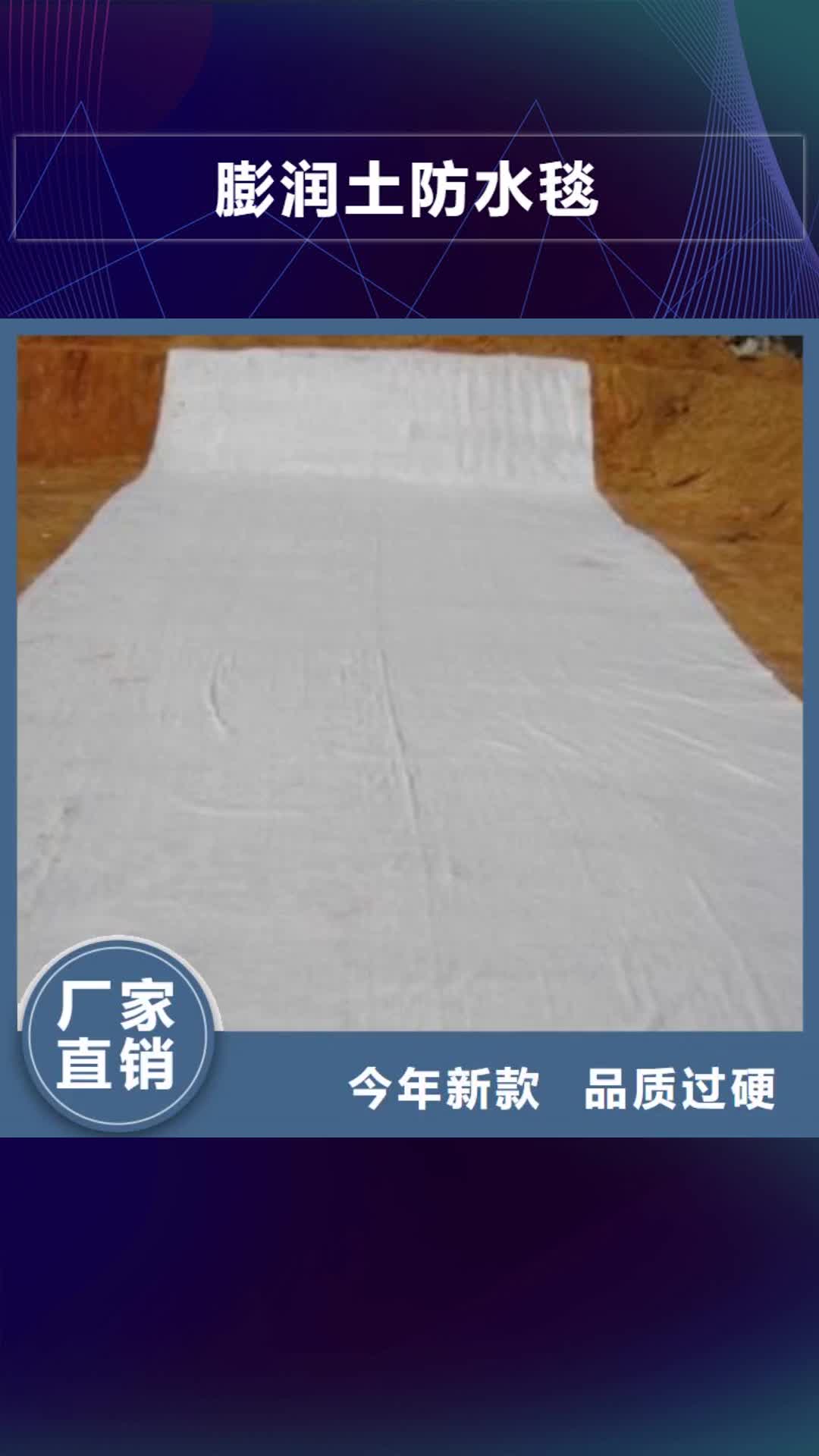 湘潭【膨润土防水毯】-三维植被网自有生产工厂