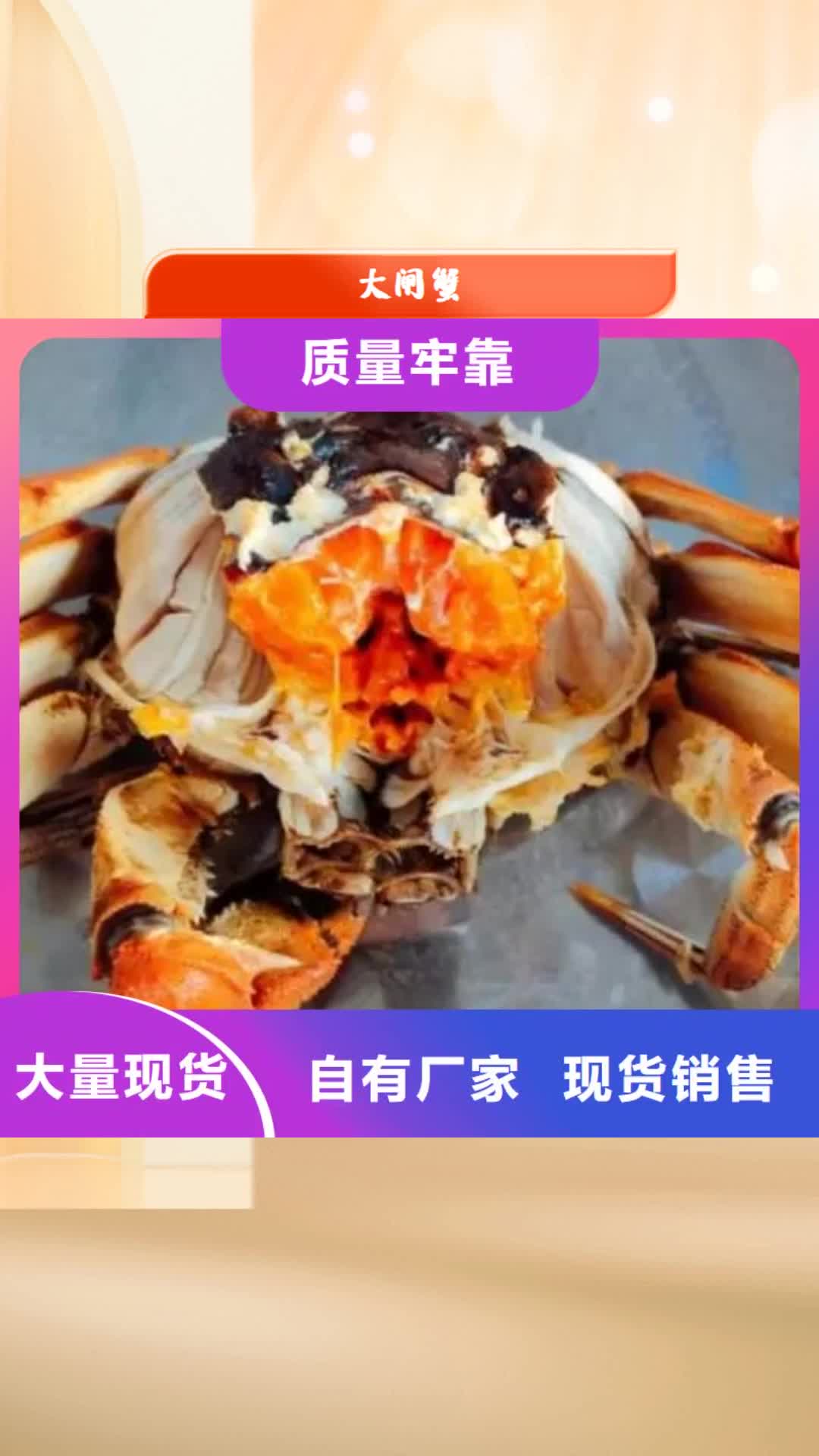 濮阳【大闸蟹】_阳澄湖大闸蟹专注产品质量与服务