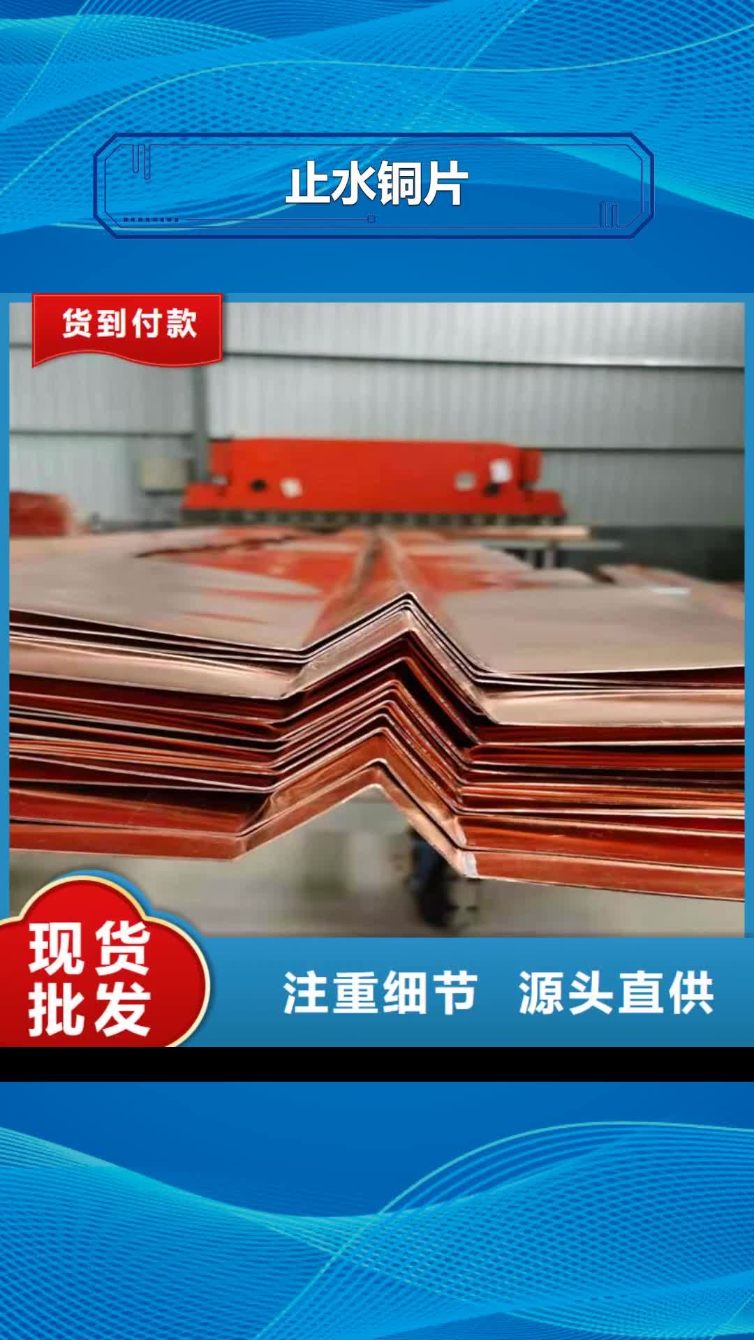 上饶【止水铜片】_双壁打孔波纹管货品齐全