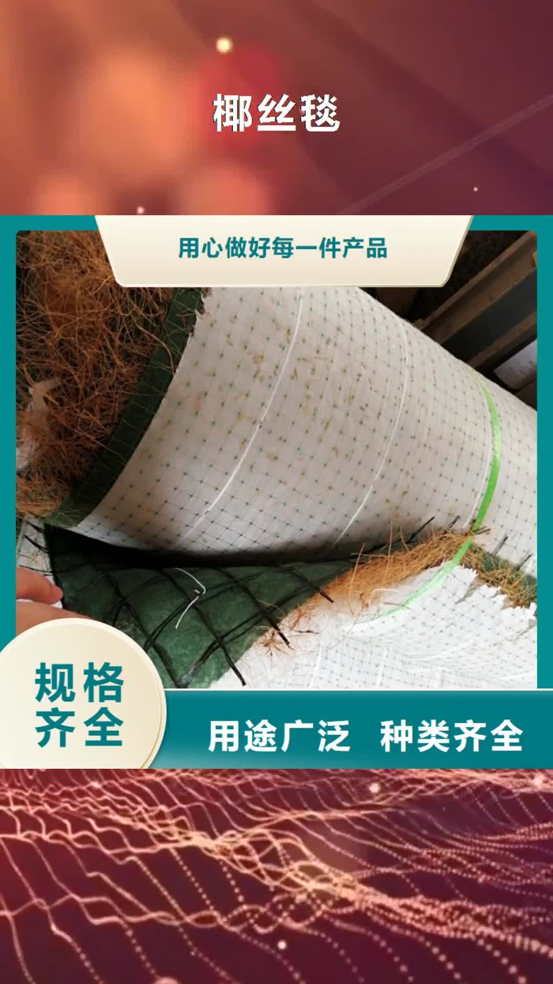 广元 椰丝毯-【HDPE土工膜】分类和特点