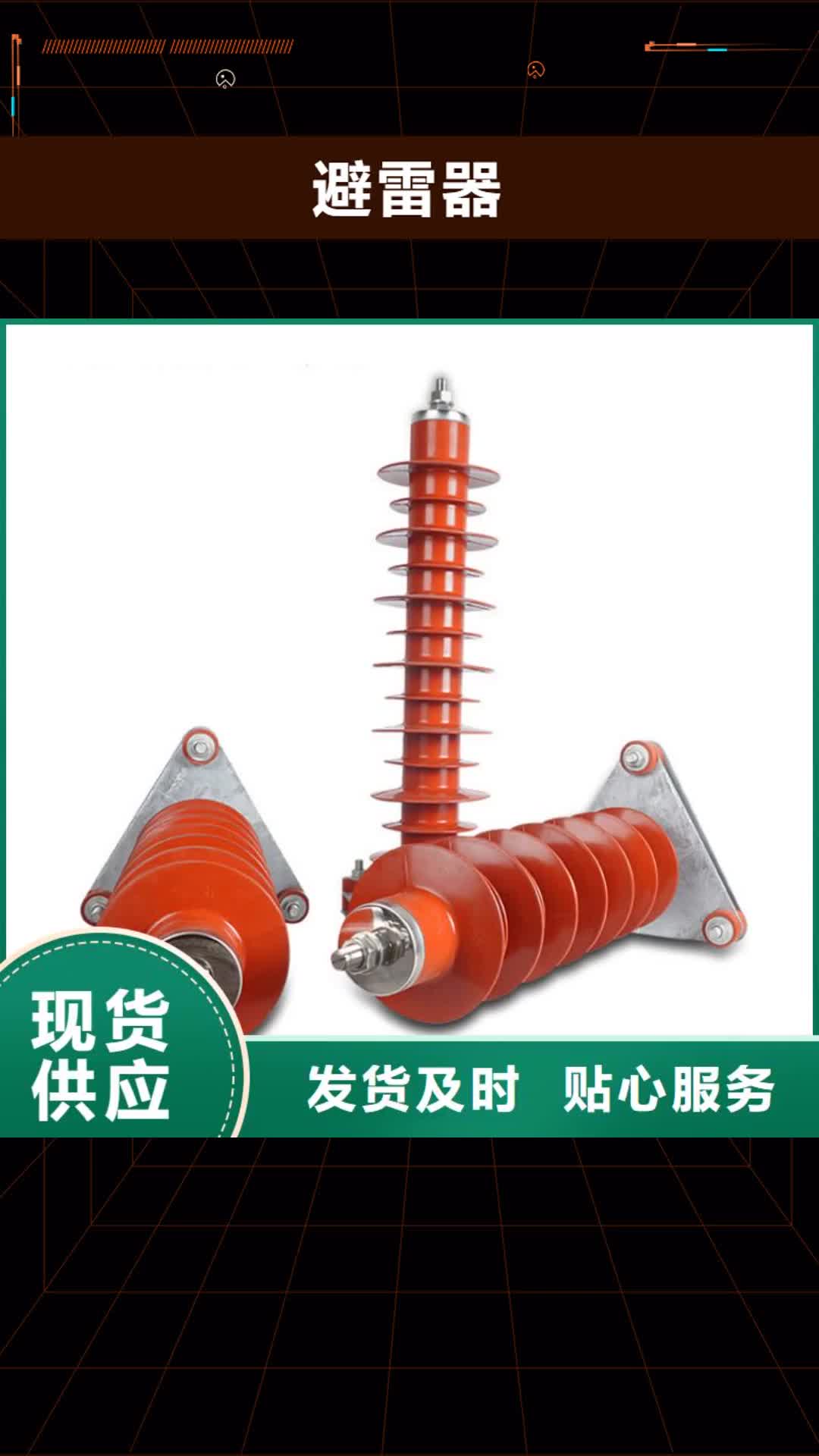 玉林避雷器绝缘子精工打造