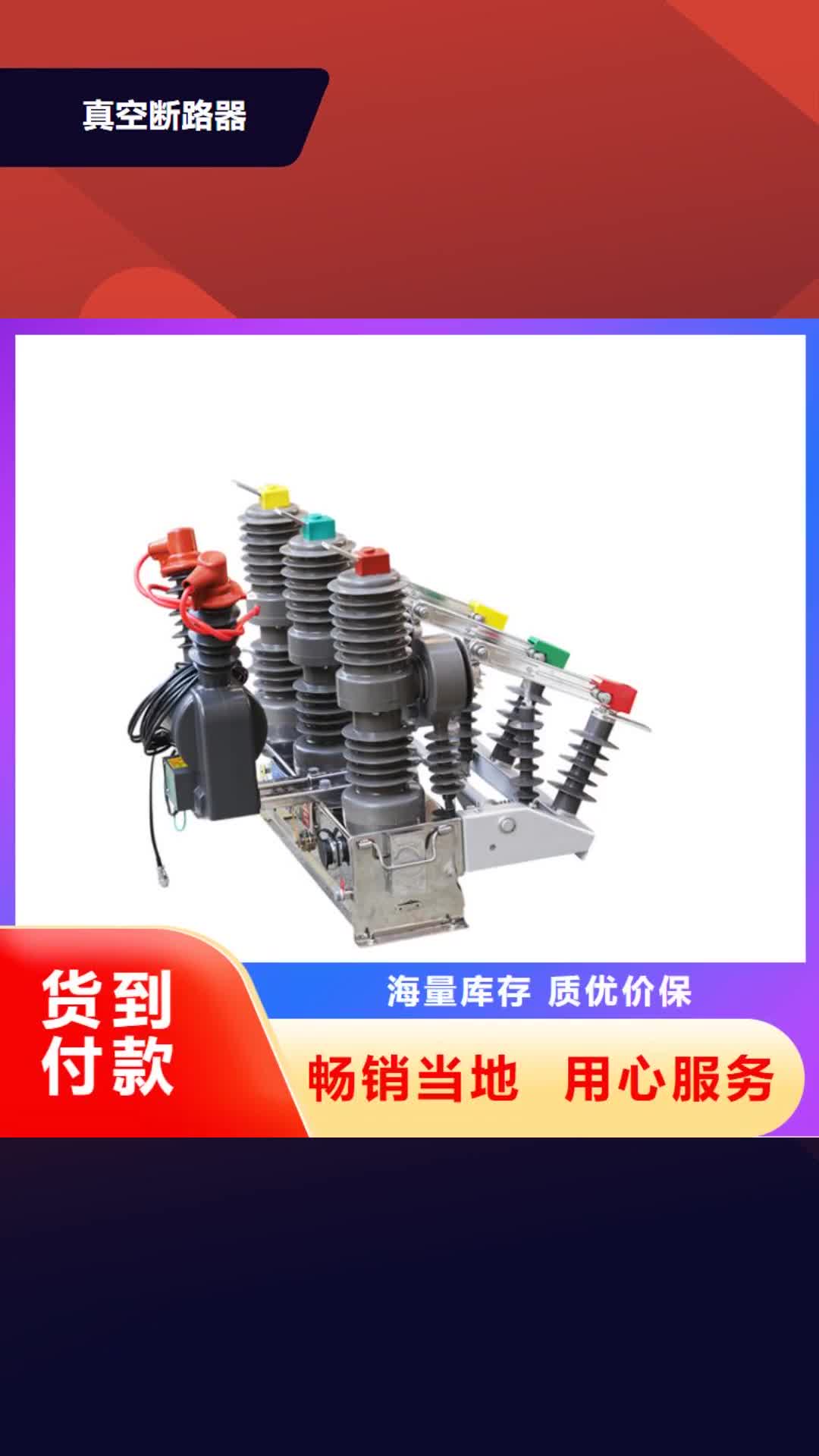 连云港真空断路器一个起售