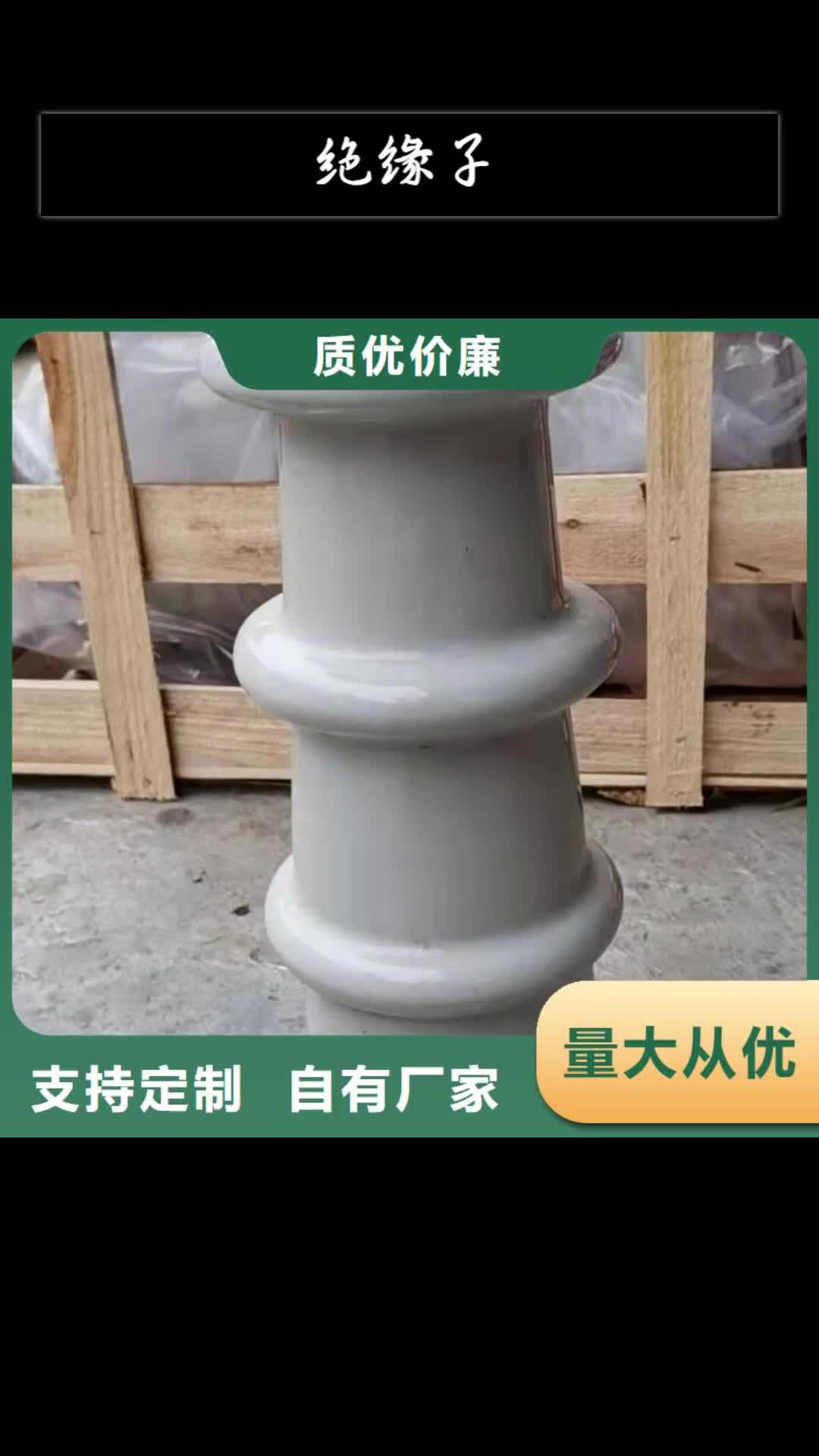 安阳绝缘子真空断路器发货迅速