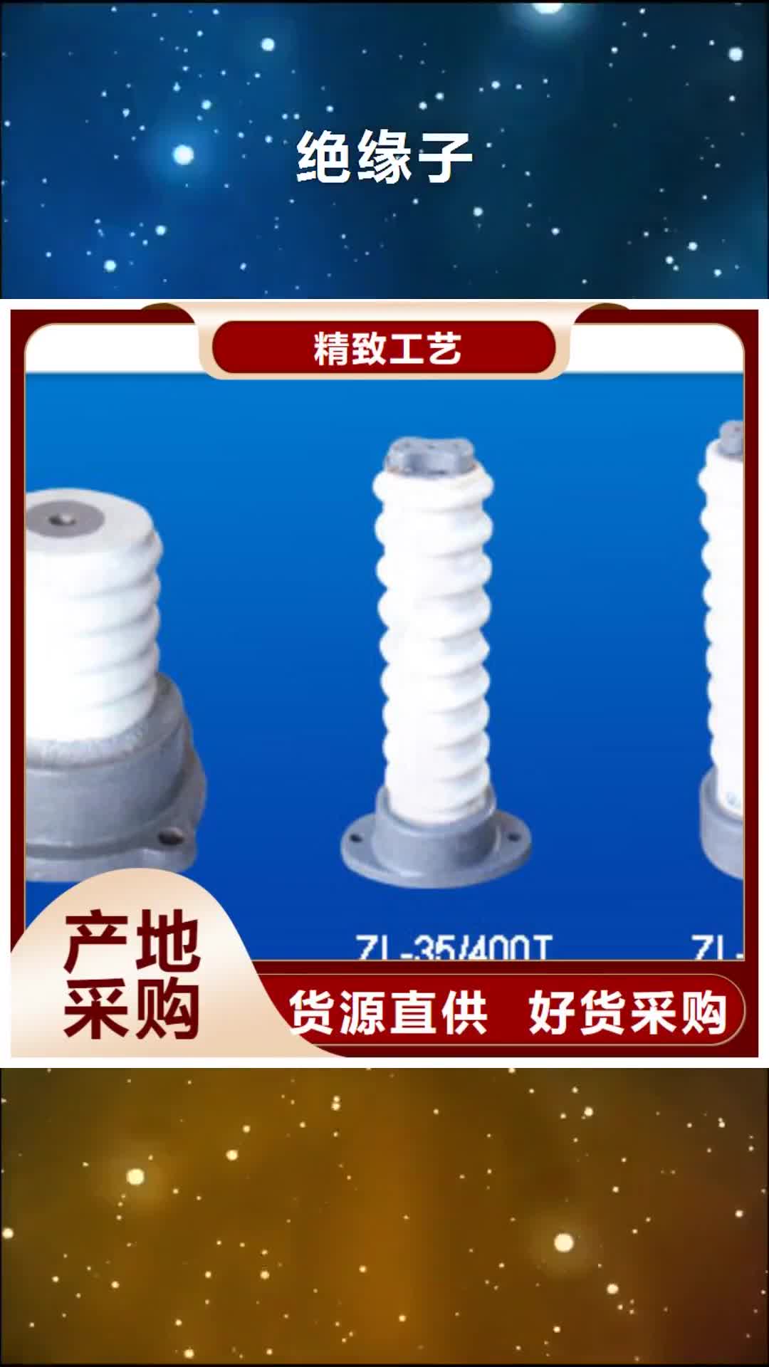 吉林绝缘子细节严格凸显品质