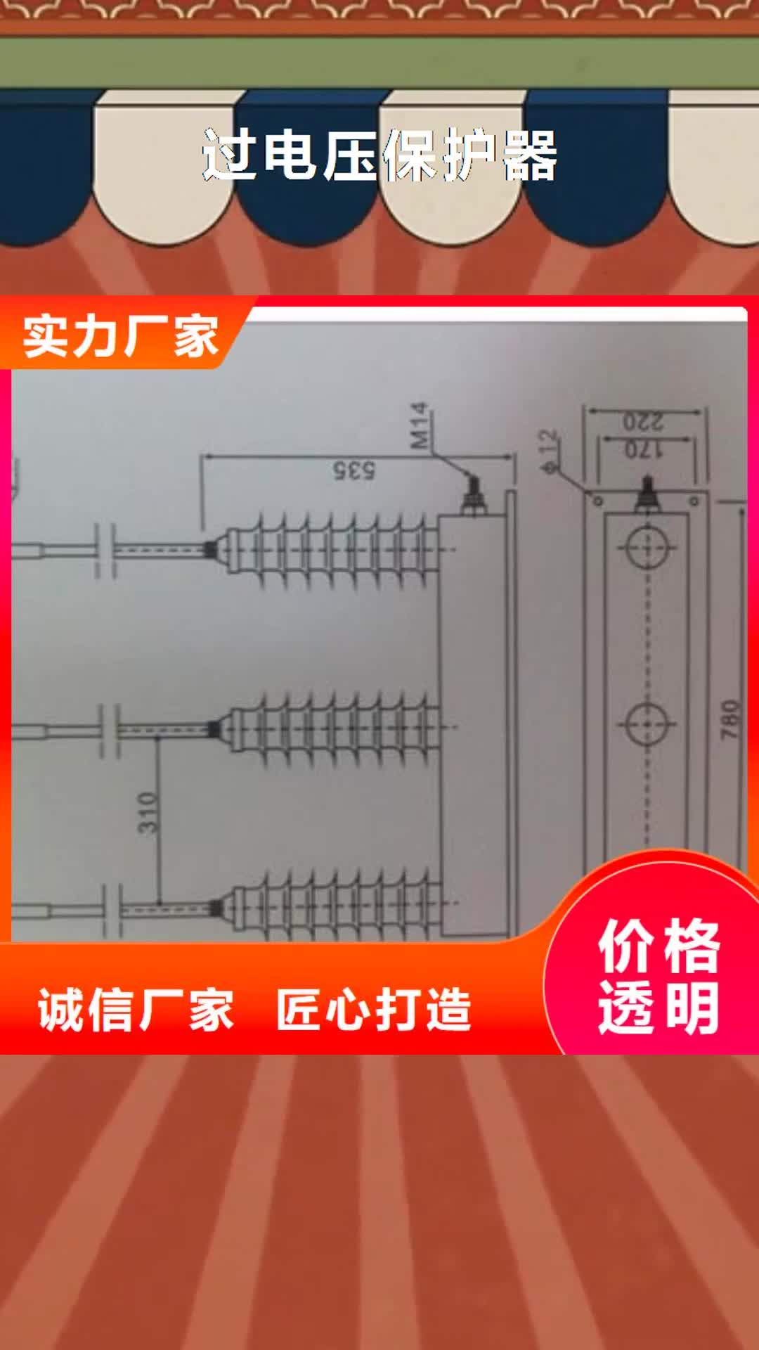 【宁波 过电压保护器真空断路器设备齐全支持定制】